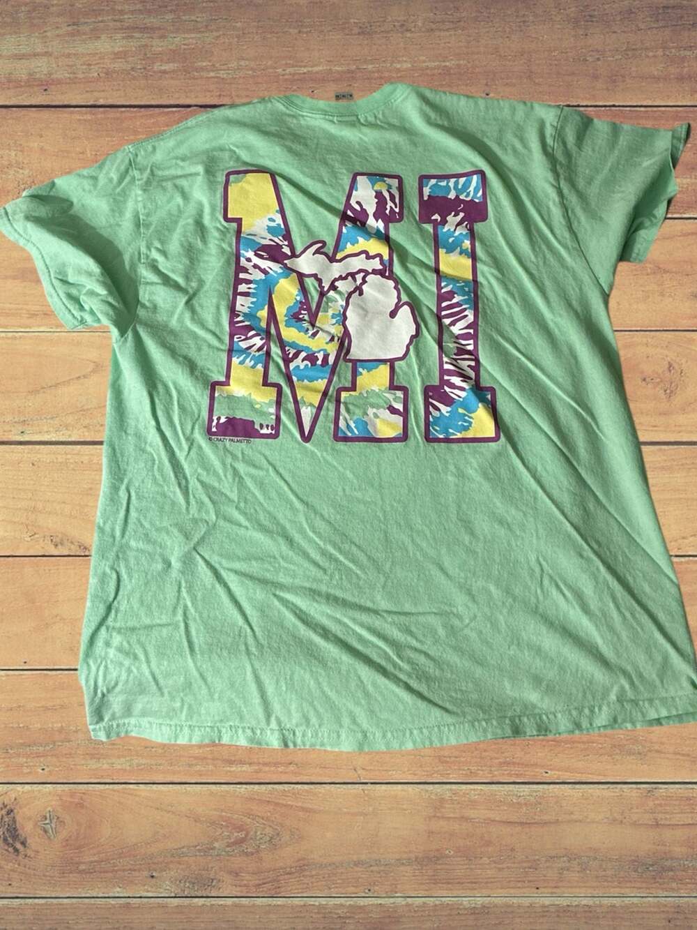 Crazy Palmetto Michigan MI Tie Dye Graphic T-Shirt Mint Green